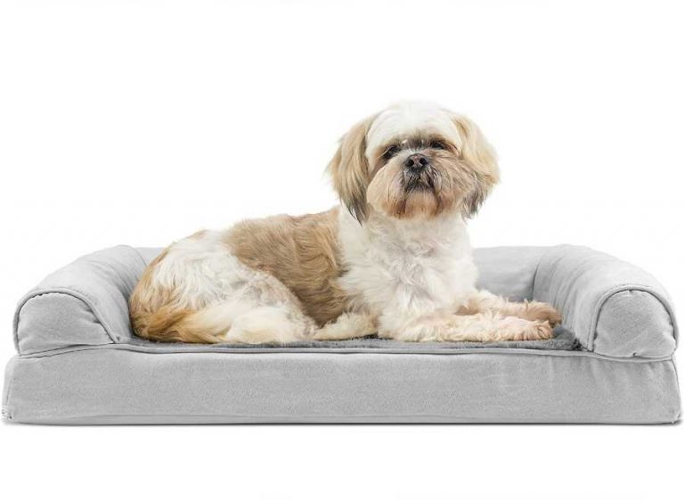 Furhaven orthopedic Dog Bed, medium