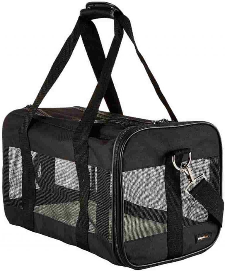AmazonBasics Travel Carrier