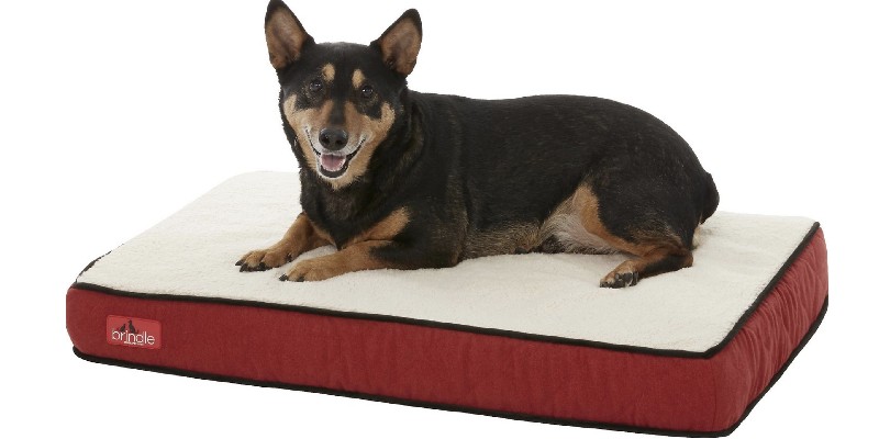 Brindle Waterproof Orthopedic Dog Bed