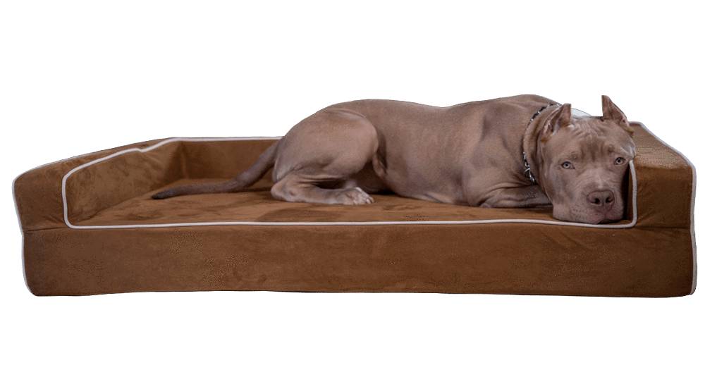 Orthopedic 3 Sided Bolster Bed