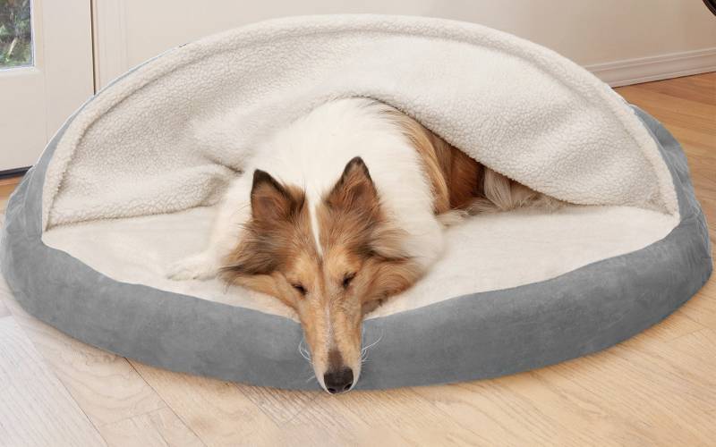 FurHaven Faux Sheepskin Snuggery Orthopedic Pet Bed For Large Dogs