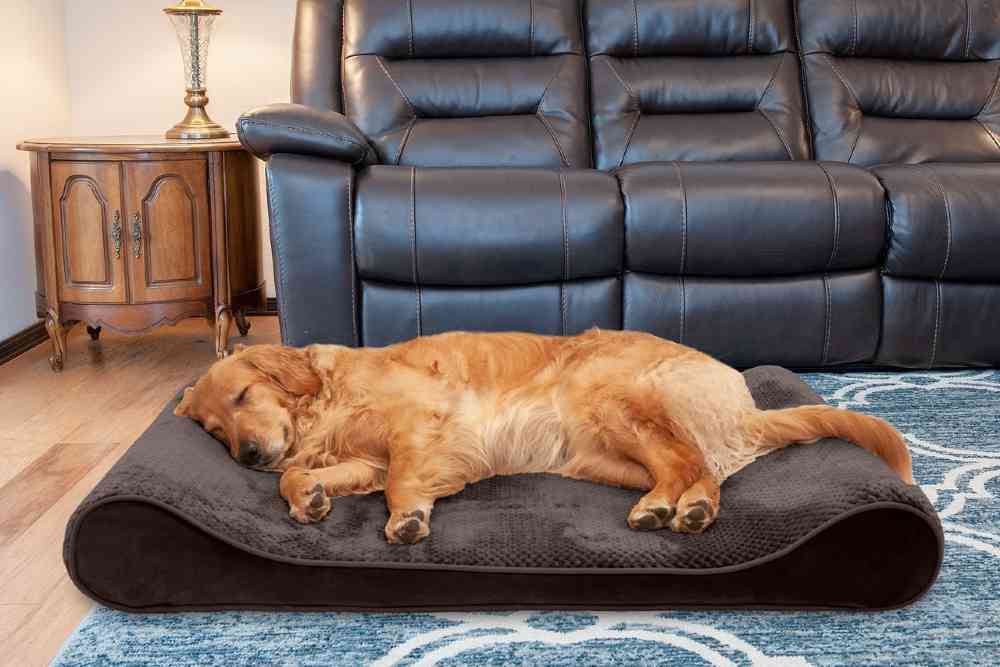 Orthopedic Dog Bed LUXE LOUNGER MINKY PLUSH VELVET