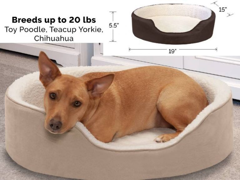 Furhaven Oval Sherpa & Suede Orthopedic Dog Bed For Small Breeds