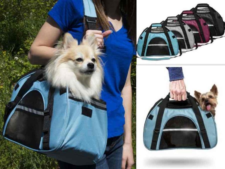 stylish pet carrier