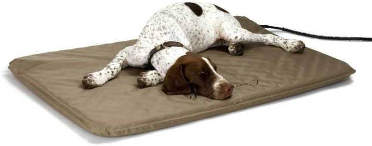 K&H Outdoor Heated Dog Bed