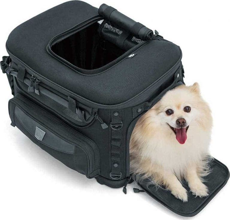Kuryakyn motorcycle dog carrier