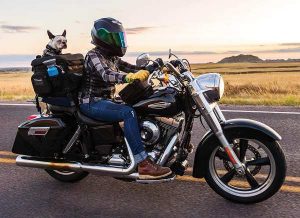 Motorcycle Dog Carrier - Kuryakyn 5288 Grand