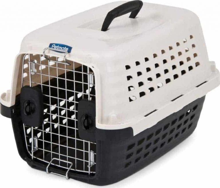 Plastic Dog Crate