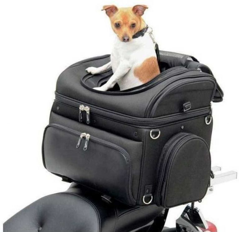 Saddlemen Bike dog carrier