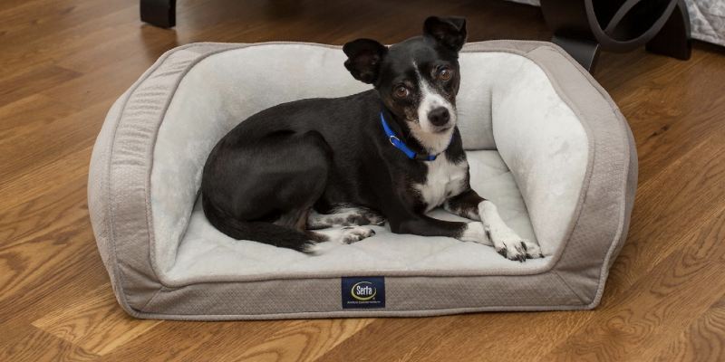 Serta Quilted Orthopedic Bolster Dog Bed Petite