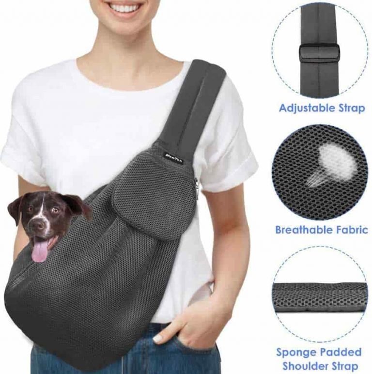 Slowton Pet Carrier