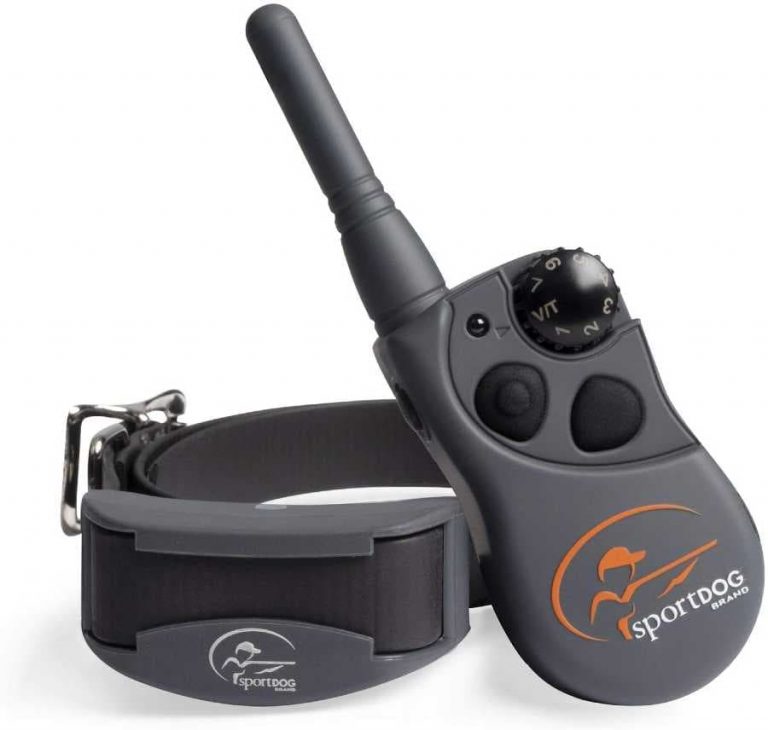 SportDog shock collar