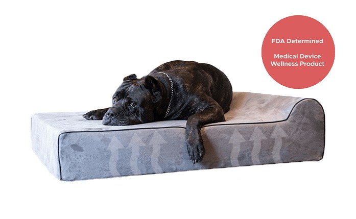 Waterproof Infrared & Orthopedic Dog Bed