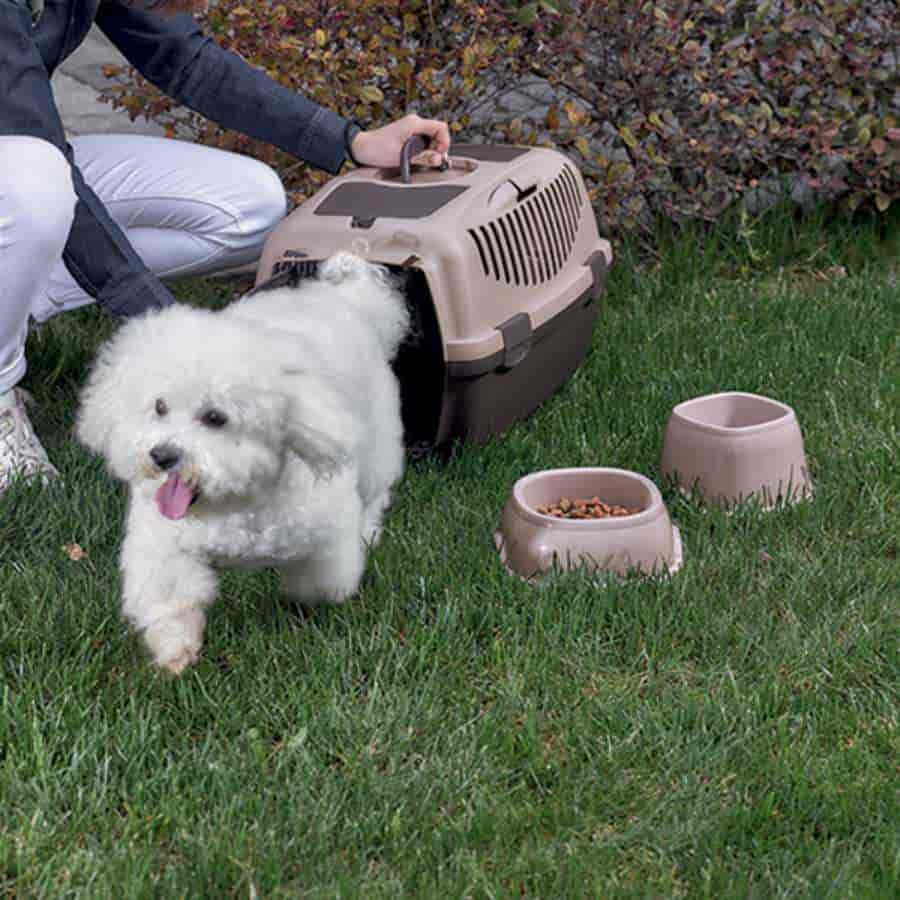 Dog carrier