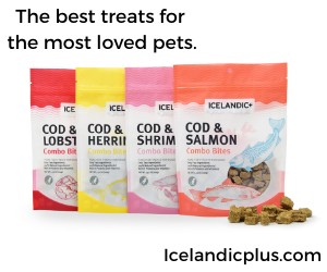 Omega-3-treats-for-dog-skin-coat