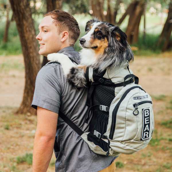 Read more about the article Backpack Carrier