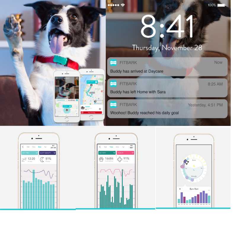 FitBark Dog GPS Tracker
