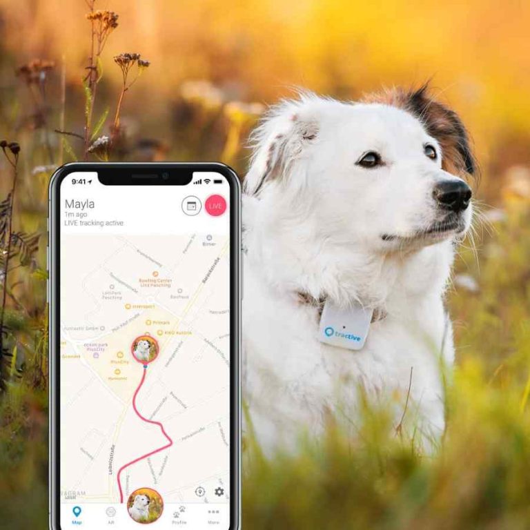 Read more about the article GPS Tracker Smart Collars