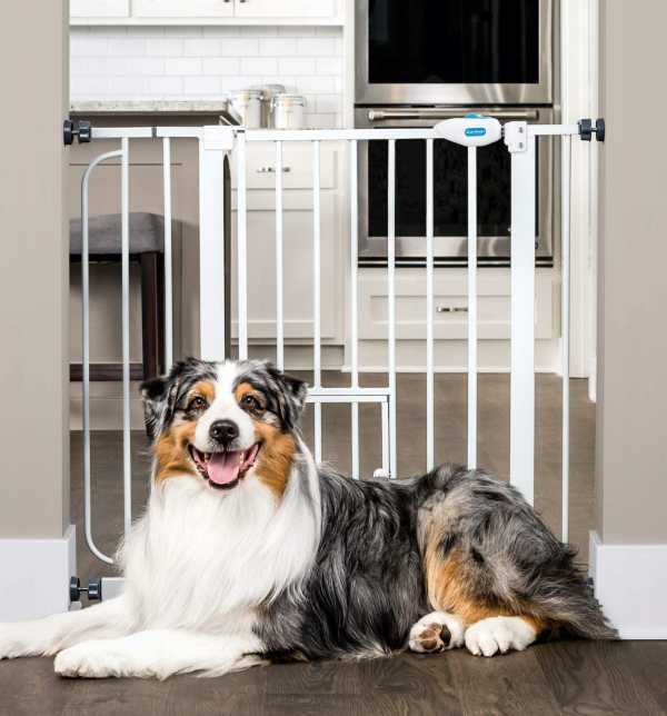 Carlson dog gate