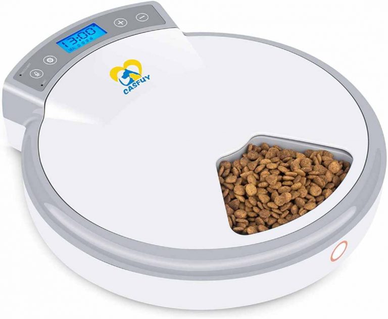 Casfuy Automatic Dog Feeder - Dry & Wet Food Dispenser