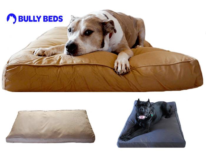 Chew Resistant Dog Bed