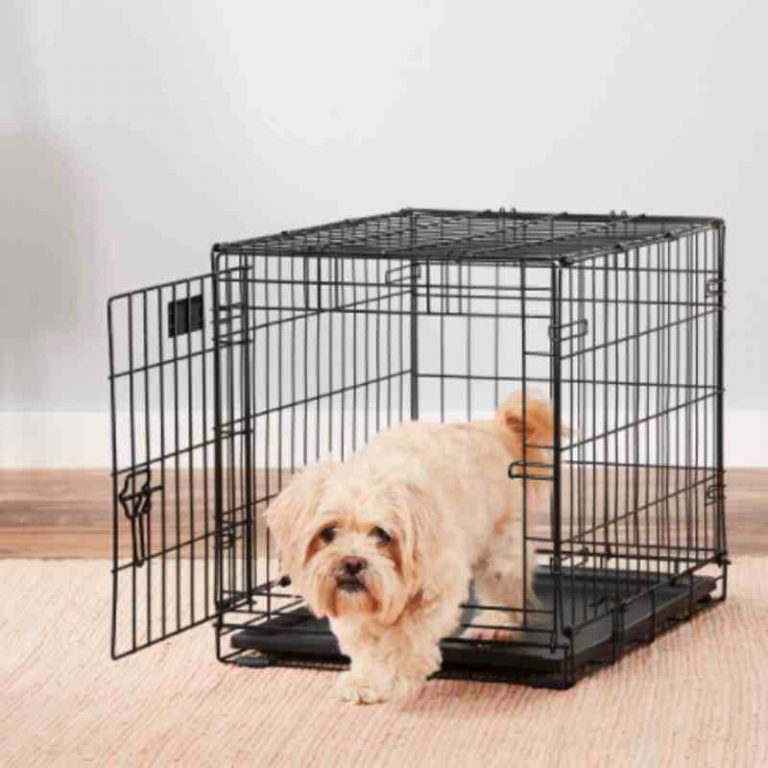 Collapsible Wire Dog Crate Fold and Carry Single Door