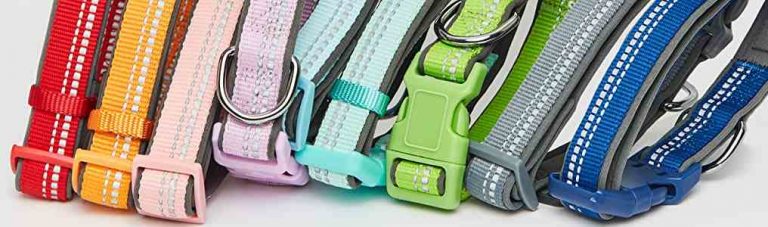 Read more about the article Reflective, Flat, Flea & Tick Collars