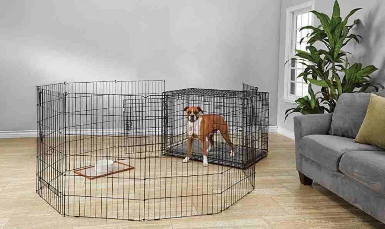 Dog Crate and Play Area