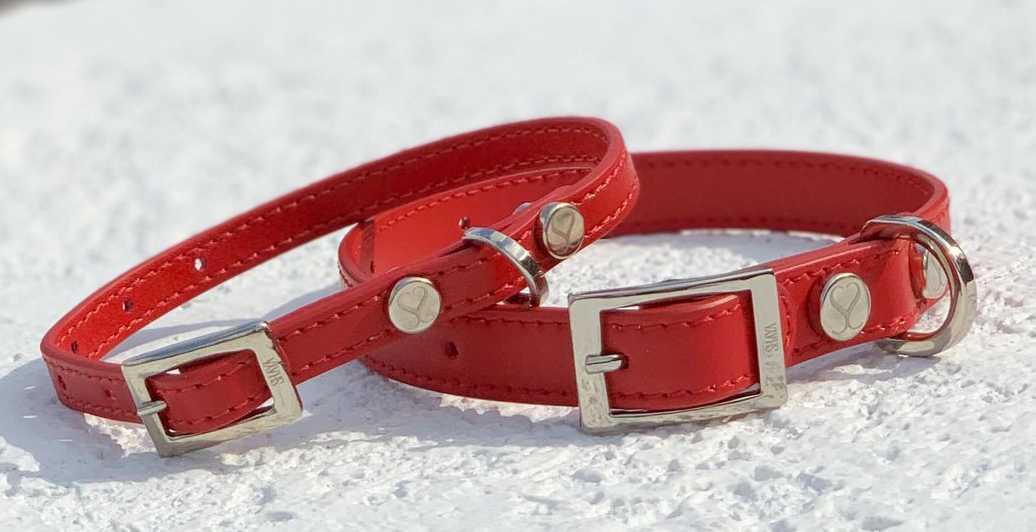 Red Leather Dog Collar