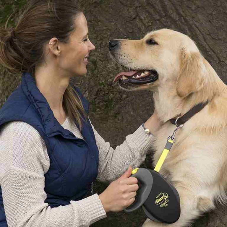 Read more about the article Retractable Dog Leash