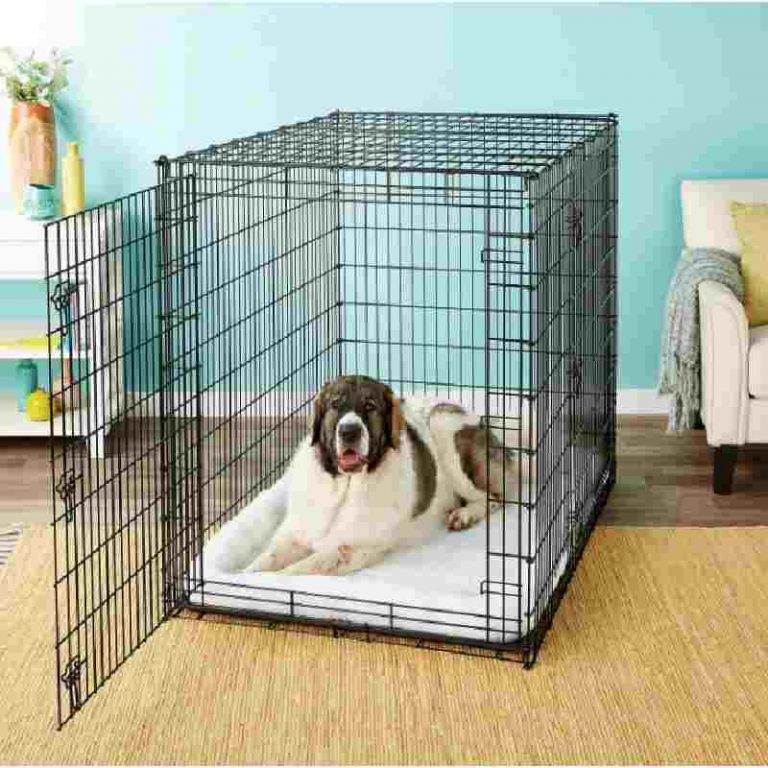 Frisco XX-Large Heavy Duty Double Door Wire Dog Crate