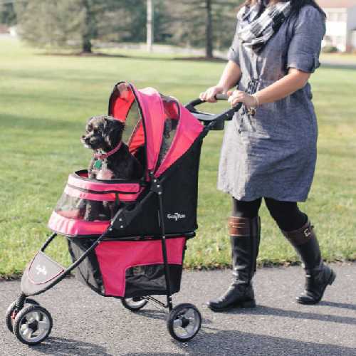Gen7Pets Regal Plus Dog Stroller