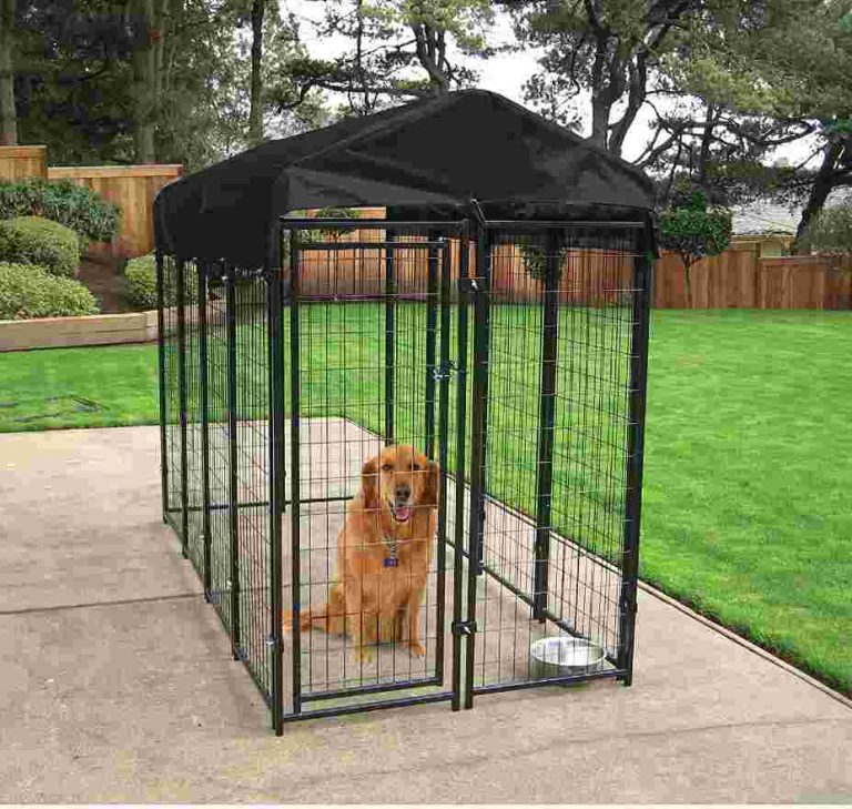 heavy duty outdoor dog kennel with roof