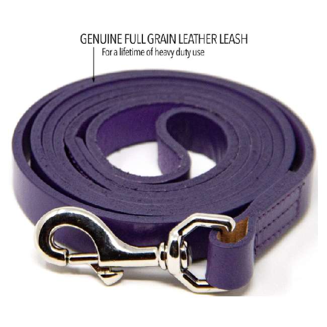 Logical Leather Genuine Full Grain Leather Dog Leash For Training