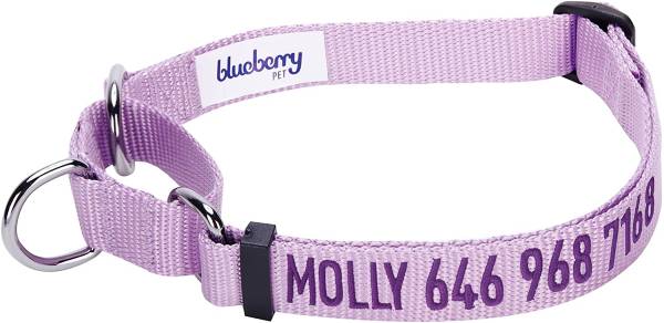 Martingale dog collar