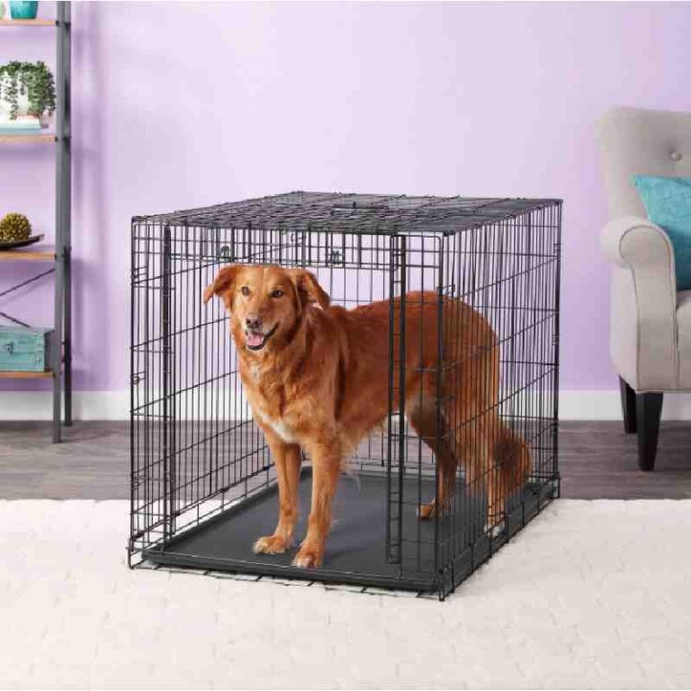 Midwest Collapsible Dog Crate for Large Dogs