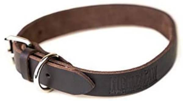 Leather Dog Collar