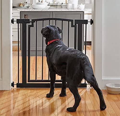 Orvis Dog Gate