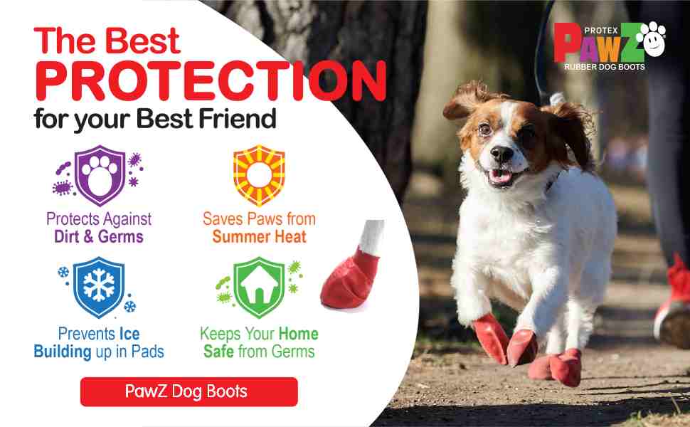 Dog Boots For Hiking, Rain, Winter, Snow