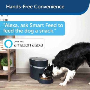 Petsafe Auto Pet Feeder - Handsfree convenience