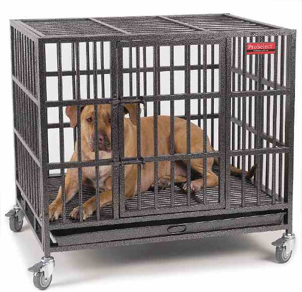 ProSelect Empire Dog Crate