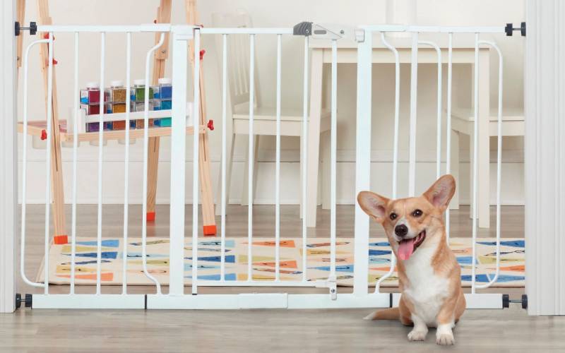 Regalo Extra Wide Pressure Mounted Walk Through Dog Gate