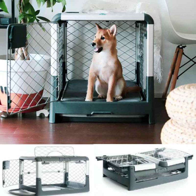 Collapsible Dog Crate - Portable, Foldable Crate by Diggs