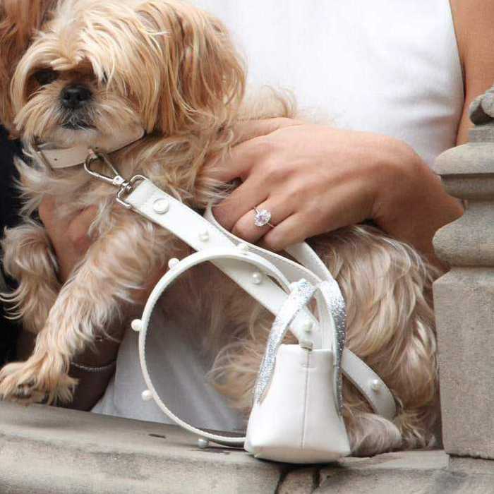 luxury leather dog leash white