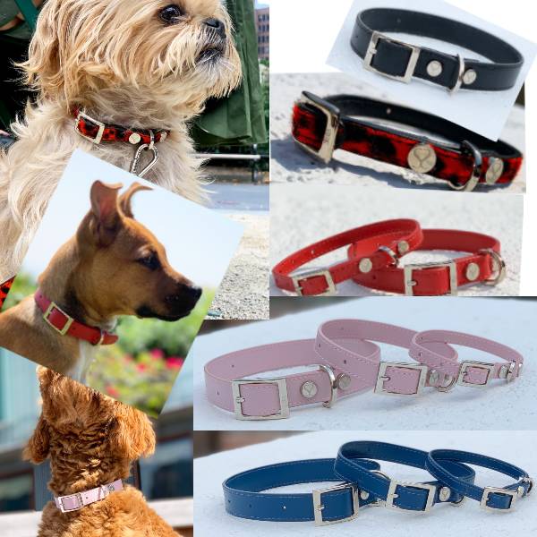 Luxury Leather Collars For Dogs