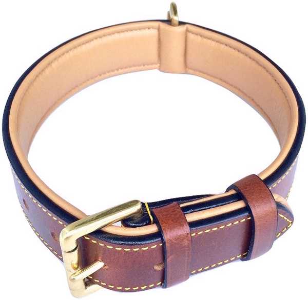 Leather Dog Collar
