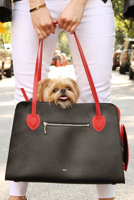 Dog carrier - red & black leather bag