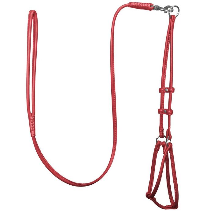 Soft Leather Round Step-In Harness + Round Lead