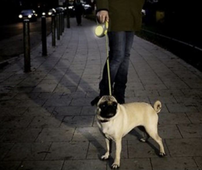flexi reflective retractable dog leash