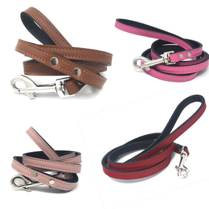 Premium Leather Dog Leashes